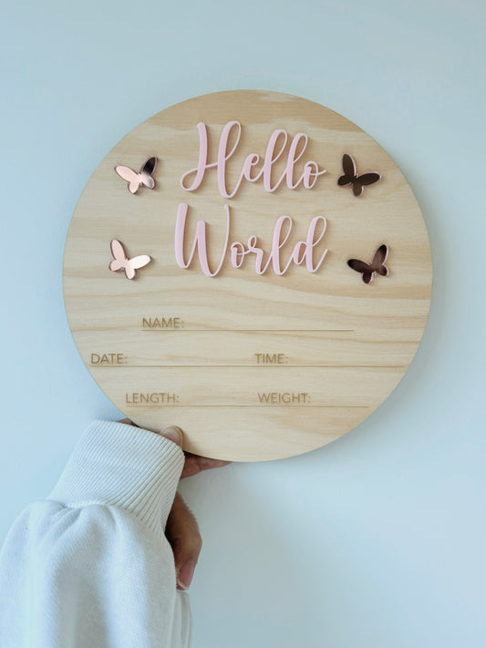 Hello World - blush pink butterfly plaque